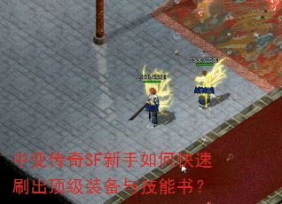 �б䴫��SF������ο���ˢ������װ���뼼���飿