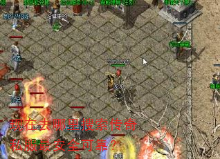 ����ȥ������������˽���ȫ�ɿ���