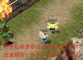 ����˽����ְҵ�濪��������ο��ٰԷ������ֱؿ����Դ����