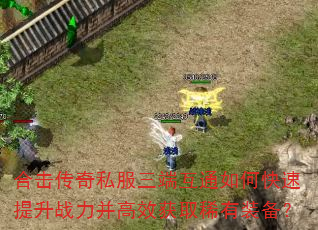 �ϻ�����˽�����˻�ͨ��ο�������ս������Ч��ȡϡ��װ����