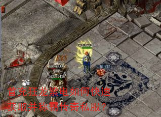 �׳�����ϵ���ο��ٻ�ȡ���ưԴ���˽����