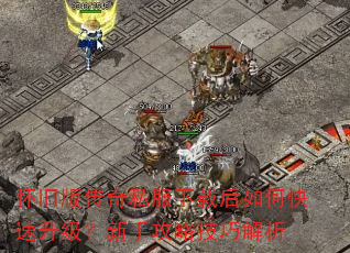 ���ɰ洫��˽�����غ���ο������������ֹ��Լ��ɽ���