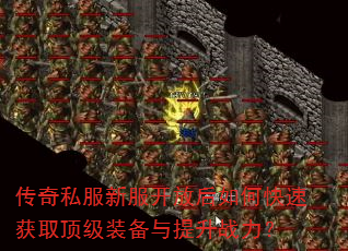 ����˽���·����ź���ο��ٻ�ȡ����װ��������ս����