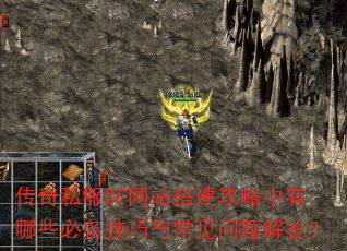 ����˽��SF��վ�����������Щ�ر������볣��������