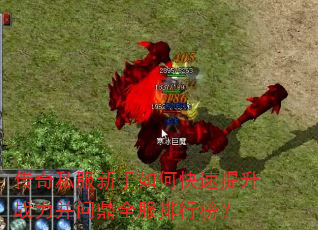 ����˽��������ο�������ս�����ʶ�ȫ�����а�