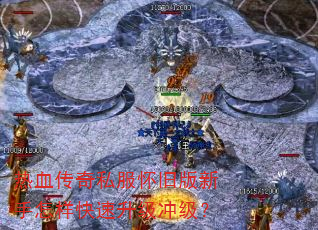 ��Ѫ����˽�����ɰ������������������弶��