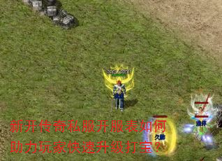 �¿�����˽�����������������ҿ��������򱦣�