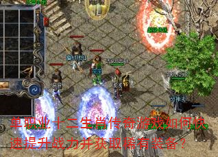 ��ְҵʮ����Ф������Ϸ��ο�������ս������ȡϡ��װ����