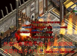 ��Ѫ����˽����սʿְҵ��ο�������ս������װ����ȡЧ�ʣ�