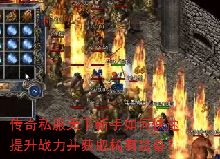 ����˽������������ο�������ս������ȡϡ��װ����