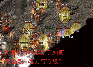 �ɾ�����˽��������ο�������ս����ȼ���