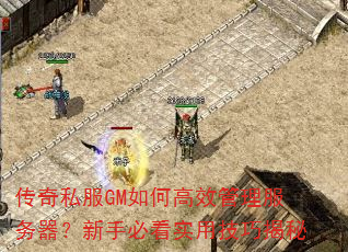 ����˽��GM��θ�Ч���������������ֱؿ�ʵ�ü��ɽ���