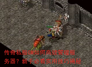 ����˽��GM��θ�Ч���������������ֱؿ�ʵ�ü��ɽ���