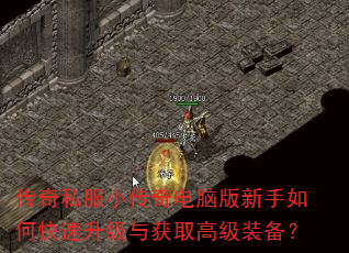 ����˽��С������԰�������ο����������ȡ�߼�װ����