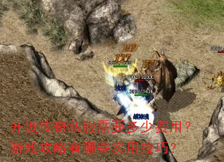 ���贫��˽����Ҫ���ٷ��ã���Ϸ��������Щʵ�ü��ɣ�