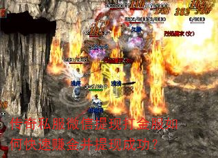 ����˽��΢�����ִ�����ο���׬�����ֳɹ���