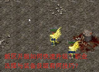 新区开服如何快速升级?职业选择与装备获取有何技巧? 新区开服如何快速升级?职业选择与装备获取有何技巧?