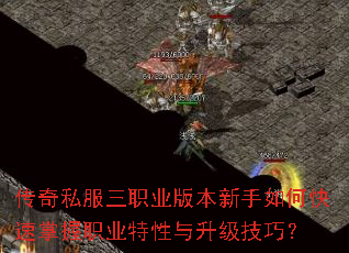 ����˽����ְҵ�汾������ο�������ְҵ�������������ɣ�