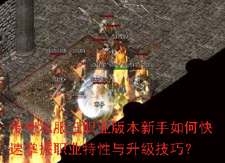 ����˽����ְҵ�汾������ο�������ְҵ�������������ɣ�