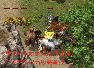 ����˽��������ο��������ȼ�����ȡ�߼�װ�����ɣ�