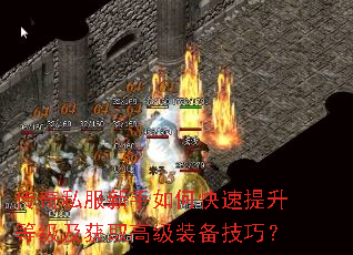 ����˽��������ο��������ȼ�����ȡ�߼�װ�����ɣ�