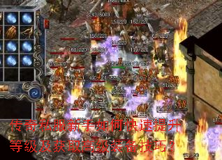 ����˽��������ο��������ȼ�����ȡ�߼�װ�����ɣ�