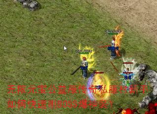 ����Ԫ�����������˽����������ο���ˢBOSS����װ��