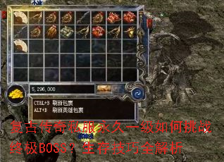 ���Ŵ���˽������һ�������ս�ռ�BOSS�����漼��ȫ����