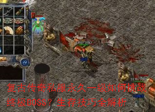 ���Ŵ���˽������һ�������ս�ռ�BOSS�����漼��ȫ����