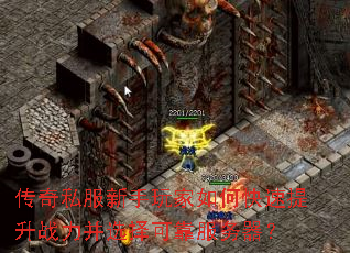 传奇私服新手玩家如何快速提升战力并选择可靠服务器? 传奇私服新手玩家如何快速提升战力并选择可靠服务器?