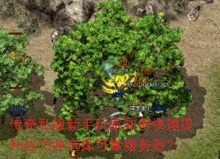 ����˽�����������ο�������ս����ѡ��ɿ���������