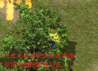 ����װ����ְҵ��ο��ٻ�ȡ�������ǿװ����