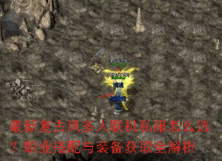 ���¸��ŷ��������˽����ôѡ��ְҵ������װ����ȡȫ����