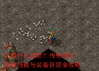 SF��ʲô��˼��������Ϸ���ؼ�����װ����ȡȫ����