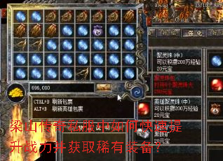 ��ɽ����˽������ο�������ս������ȡϡ��װ����