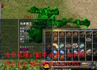 ����˽��sf���ֱؿ�����ο��������򱦲������ռ�BOSS