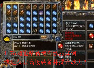 1.76��ͨ��Ʒ����˽����ο��ٻ�ȡ�߼�װ��������ս����