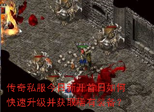 ����˽�������¿�������ο�����������ȡϡ��װ����