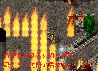 ����˽��������ο������������ֽ��ױؿ�����