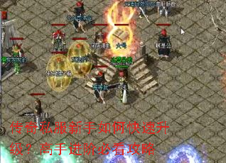 ����˽��������ο������������ֽ��ױؿ�����