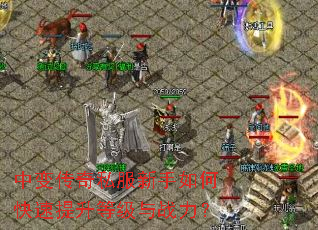 �б䴫��˽��������ο��������ȼ���ս����