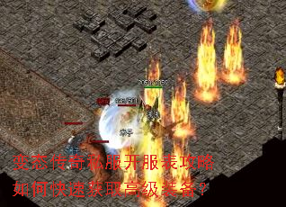 ��̬����˽��������������ο��ٻ�ȡ�߼�װ����