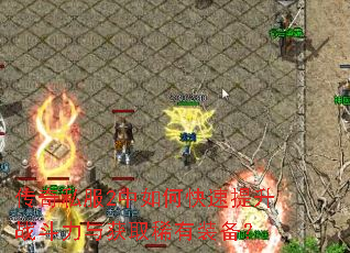 ����˽��2����ο�������ս�������ȡϡ��װ����