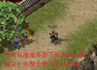 ����˽������������ʧ����ν�������������뼼�ɷ�����