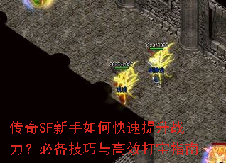 ����SF������ο�������ս�����ر��������Ч��ָ��