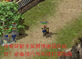 ����SF������ο�������ս�����ر��������Ч��ָ��