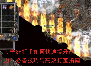 ����SF������ο�������ս�����ر��������Ч��ָ��