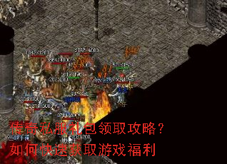 ����˽�������ȡ���ԣ���ο��ٻ�ȡ��Ϸ����