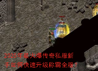 2025����𱬴���˽��������ο��������ư�ȫ����