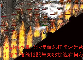 �λð汾��ְҵ��������������������ȡ�ռ�װ�������ܴ�����BOSS��ս�к��ؾ���